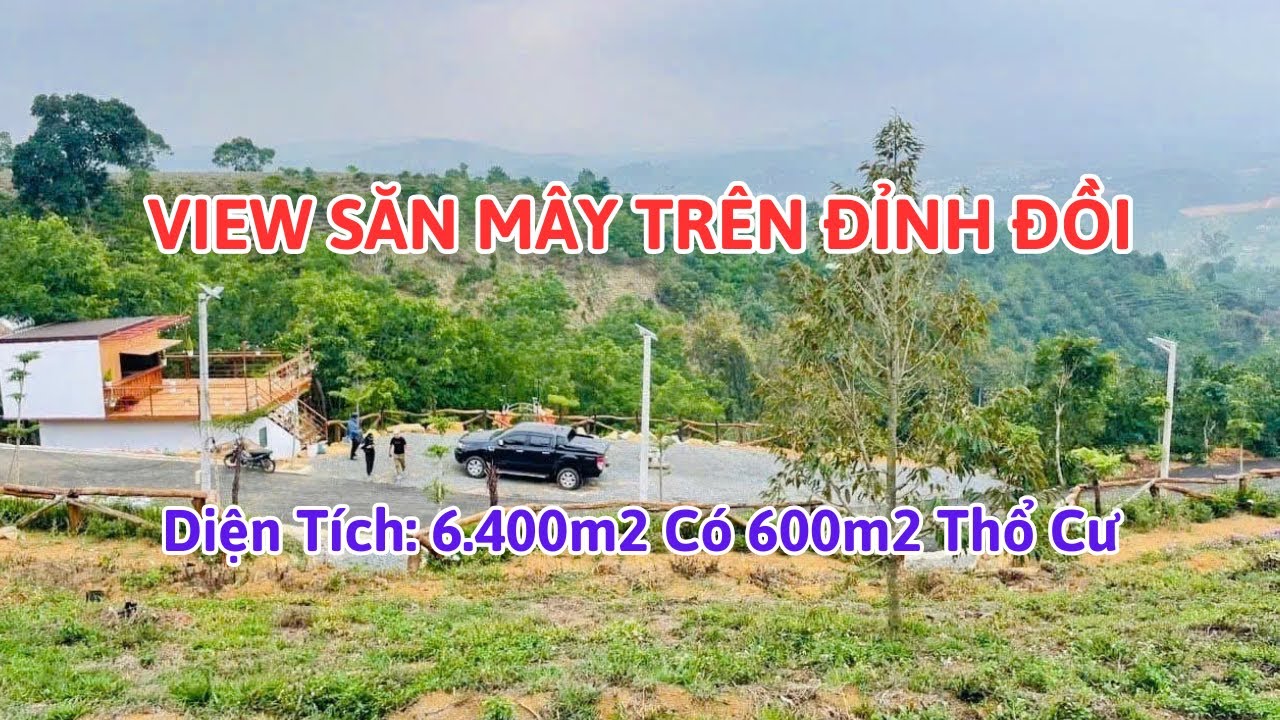 🔴(580) View Săn Mây 6.400m2 Có 600m2 Thổ Cư | Bất Động Sản Bảo Lộc