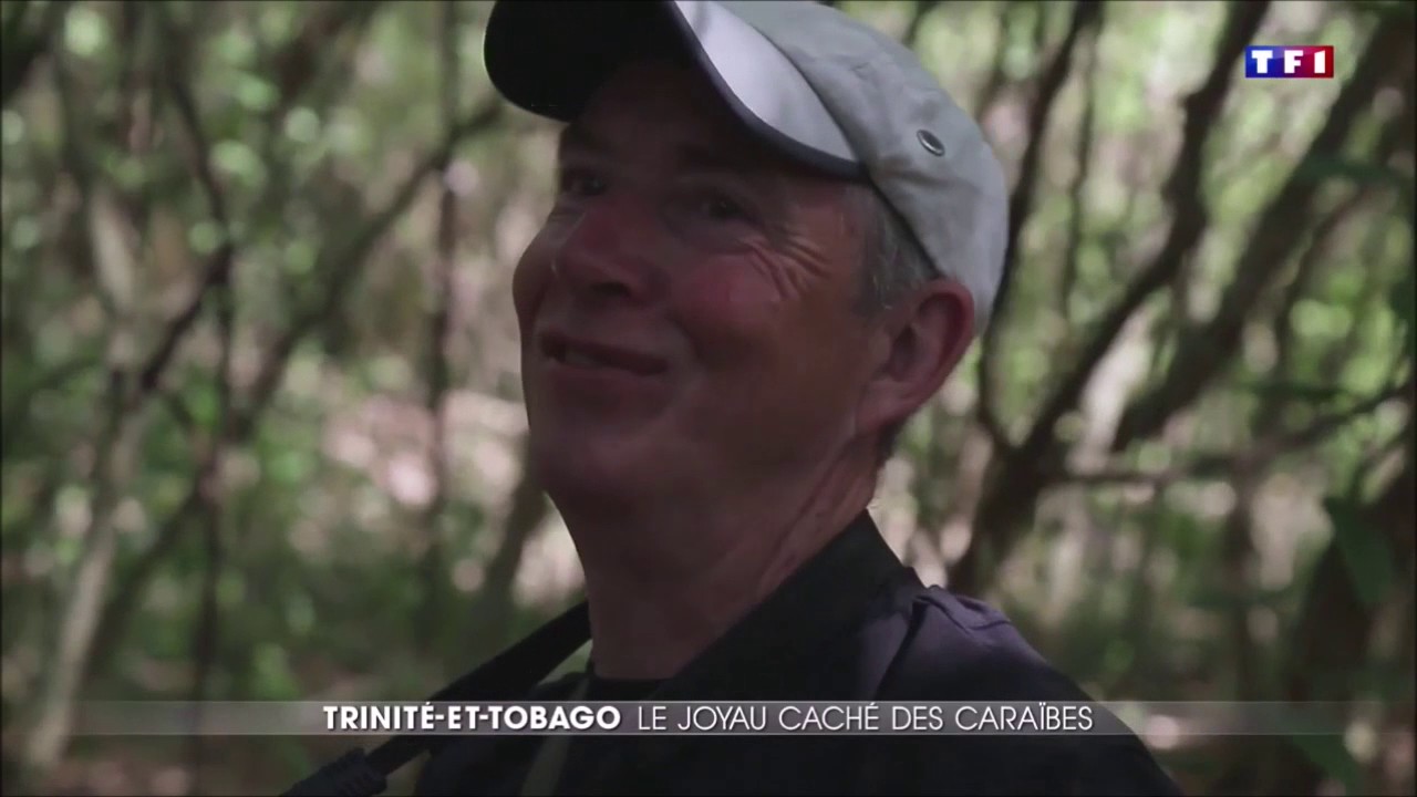 Reportage Trinidad et Tobago - Steel Drum