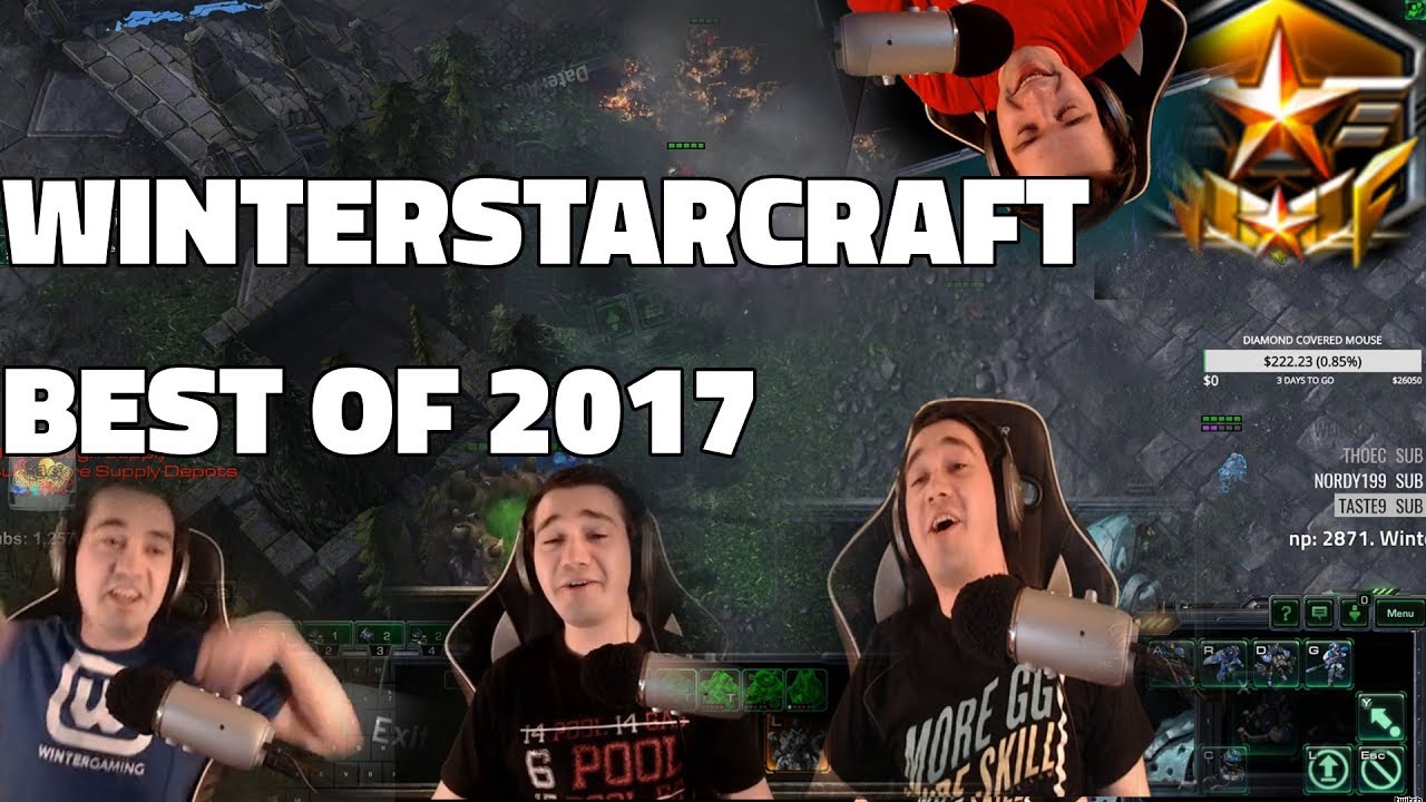 Winterstarcraft - Best of 2017 (Memes, Fails, Daily Life, Trolling, Philosophy and Passion)