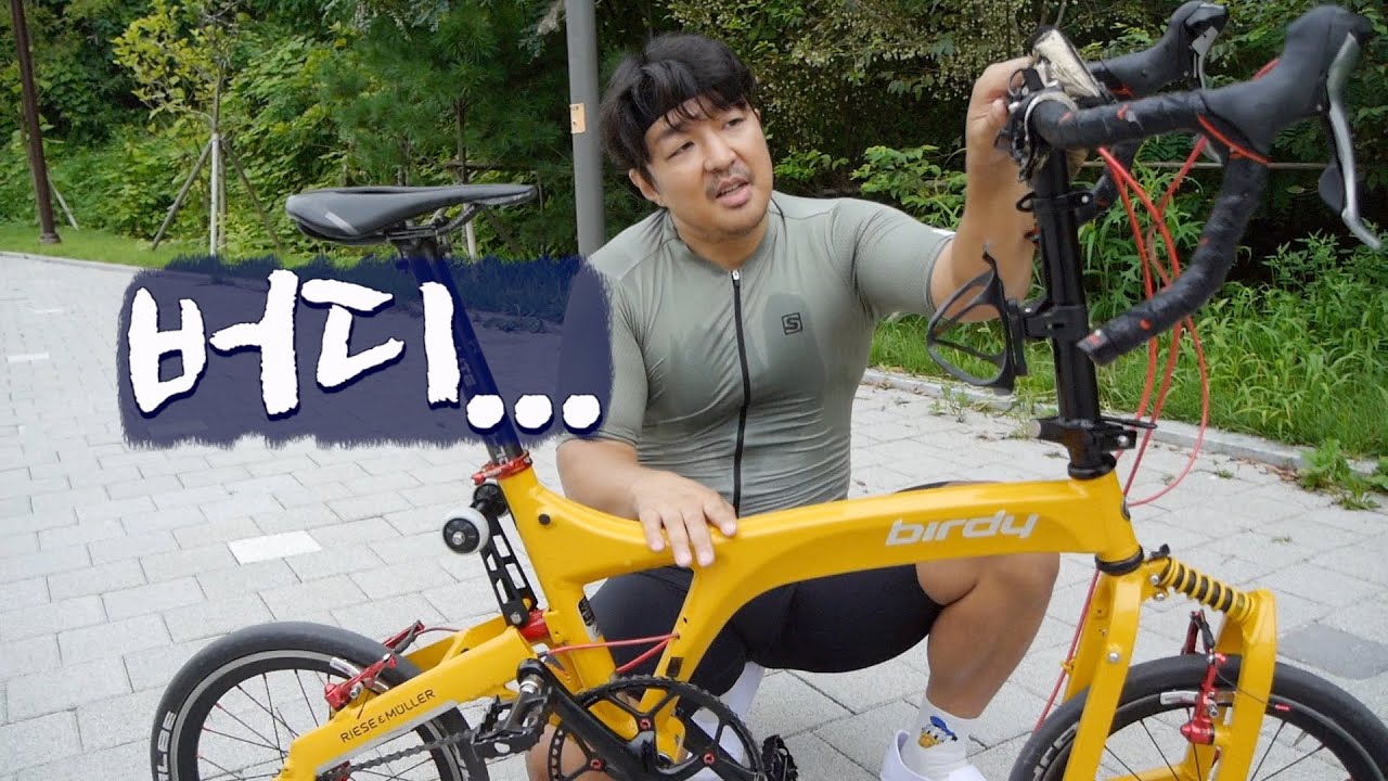 버디(Birdy) 치명적인 단점! 이걸 200만원주고 타야할까? 미니벨로특집 (3편)
