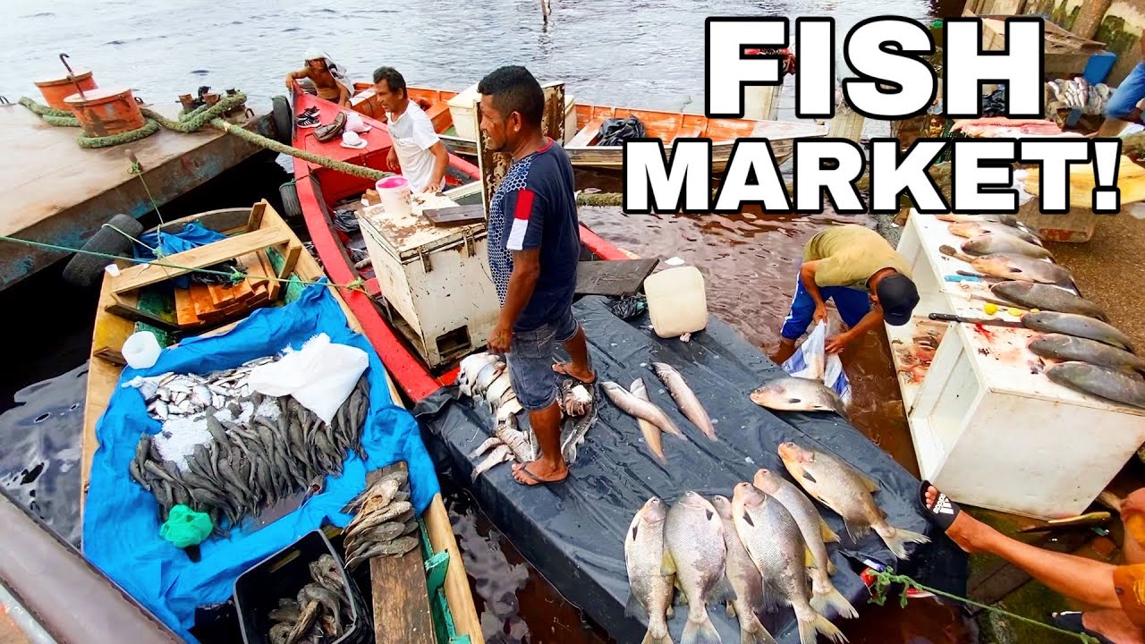 The Amazon's MONSTER FISH MARKET & Live Fish Cutting!