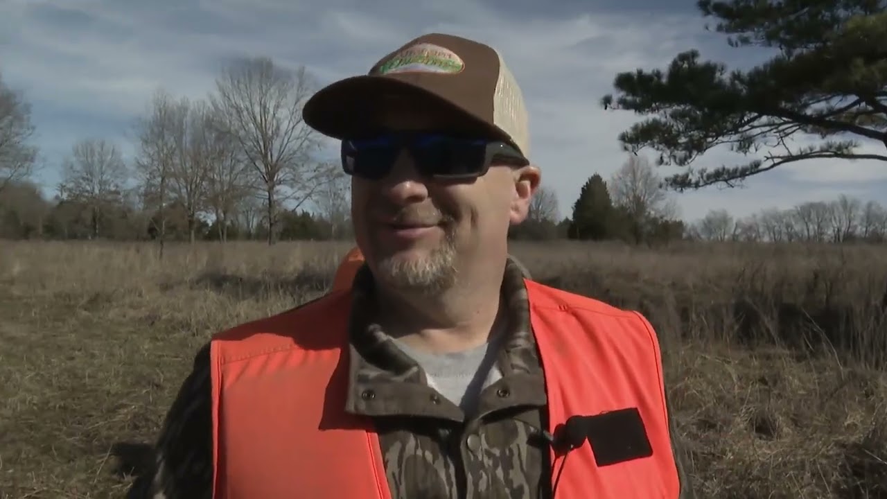 Quail Hunt at Prairie Wildlife in Clay County, Mississippi