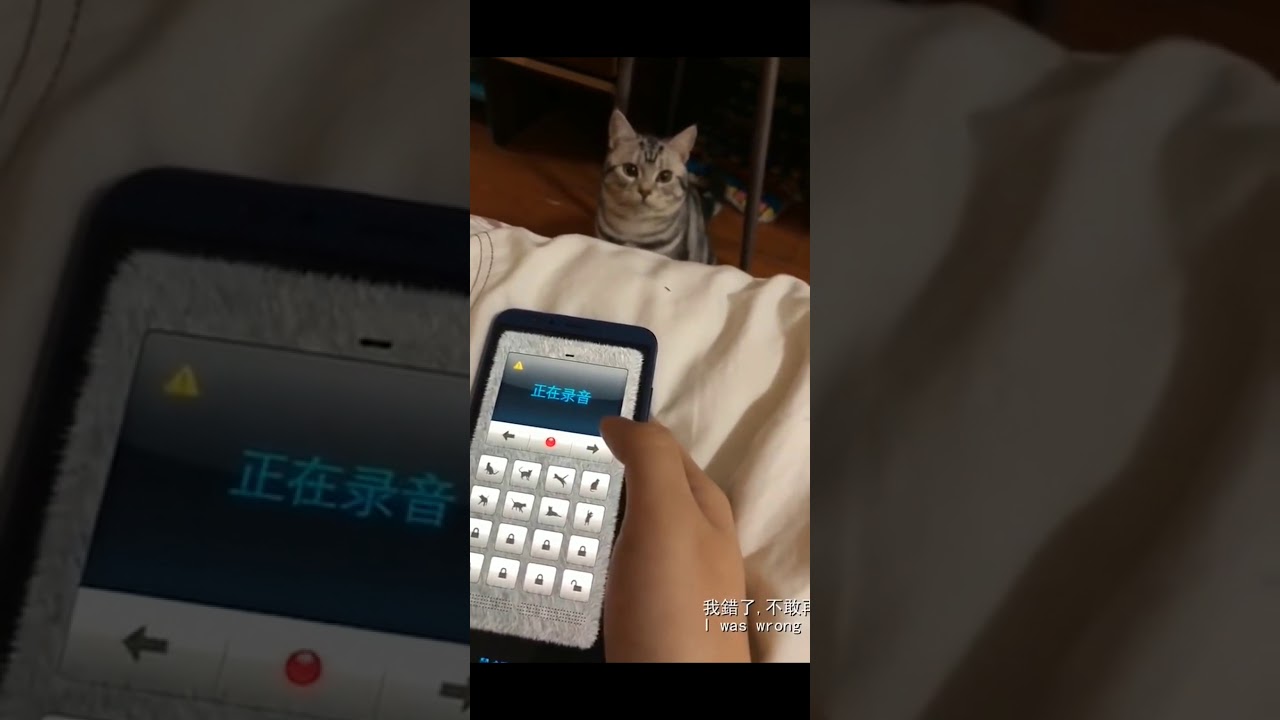 TDcat