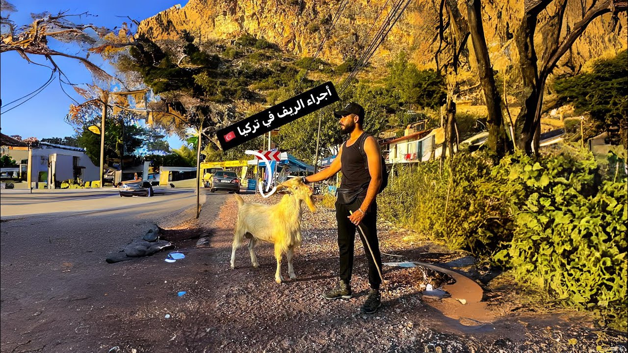 لقيت بيت أحلامي 😍 | أجواء الريف في تركيا 🇹🇷