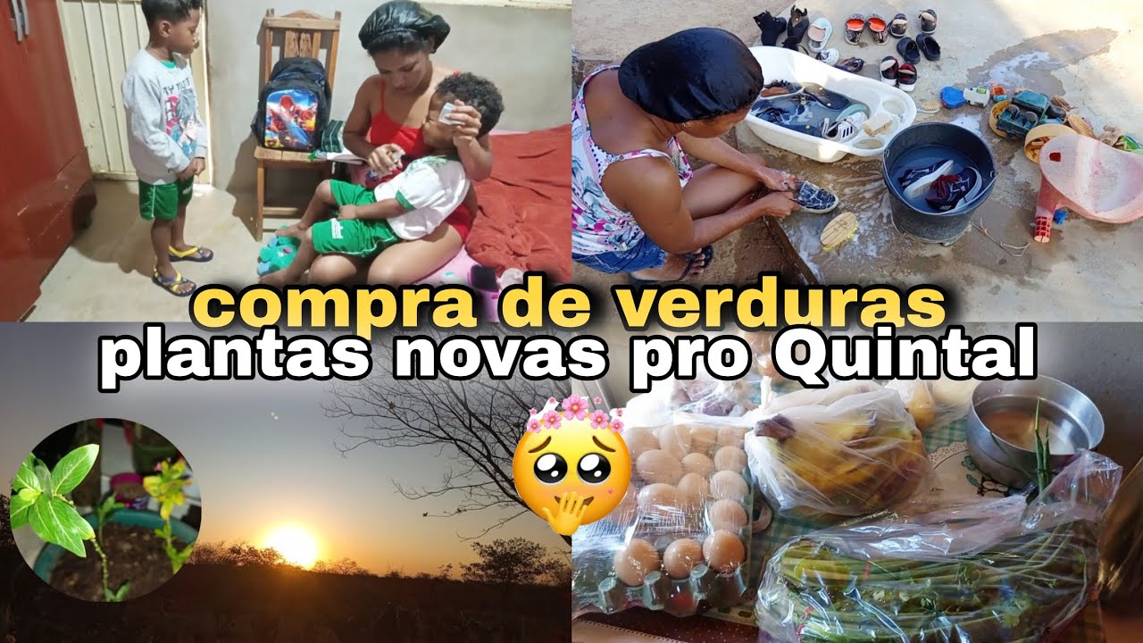 Compras de verduras🫑🍅ganhei roupas+plantas novas pro Quintal🪴🌺 mãe de dois💙💙🙌🏼
