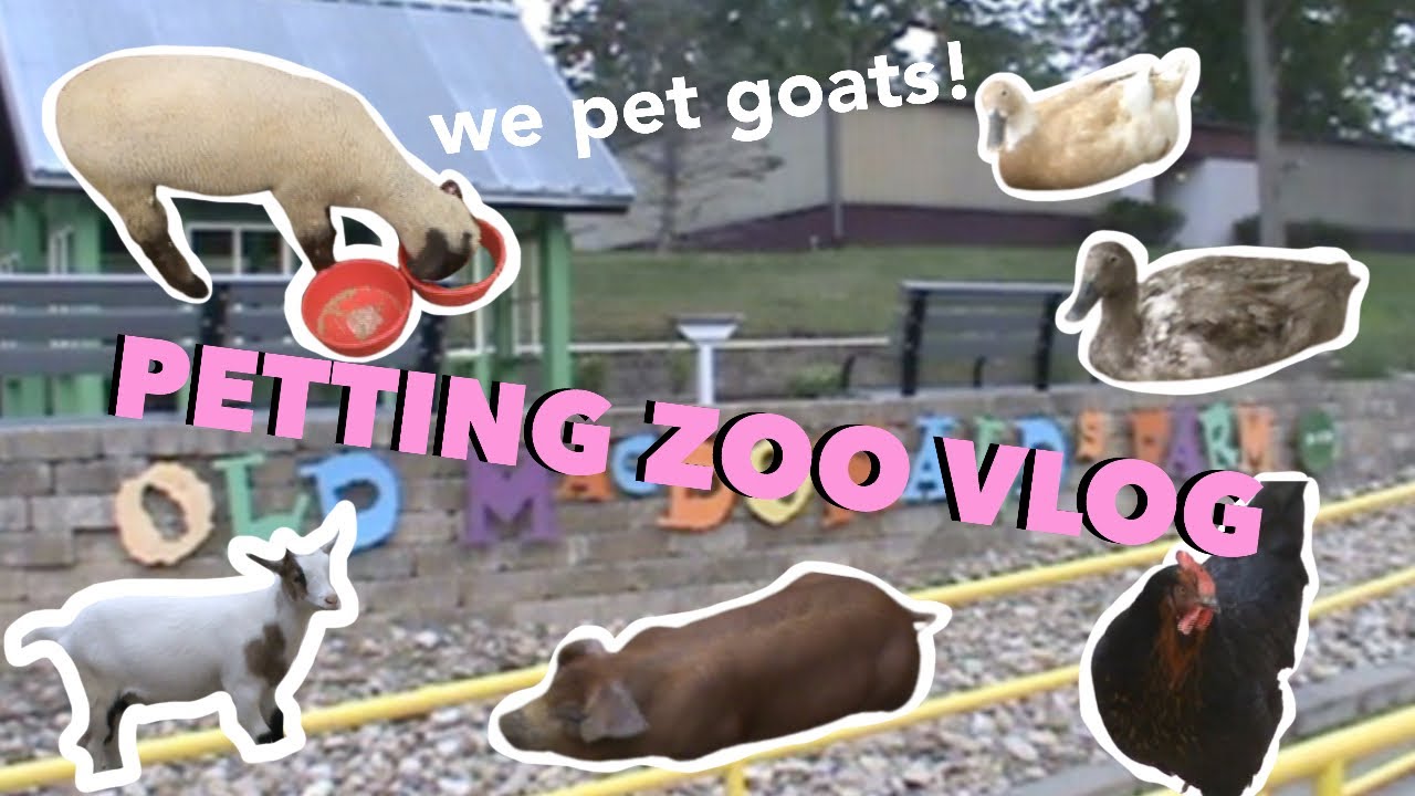 Old MacDonald DID Have a Farm | petting zoo vlog - we pet goats!! | filmed with old camera