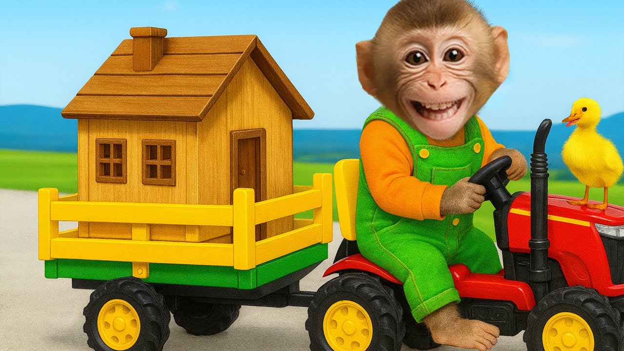 Baby monkey Bim Bim takes care of the ducklings, chicks and builds a new house and fence