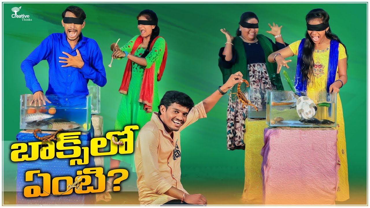బాక్స్ లో ఎంటి? | Adventure 2 🔥 with comedy  | Creative Thinks Adventure
