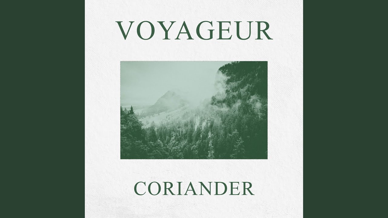 Coriander