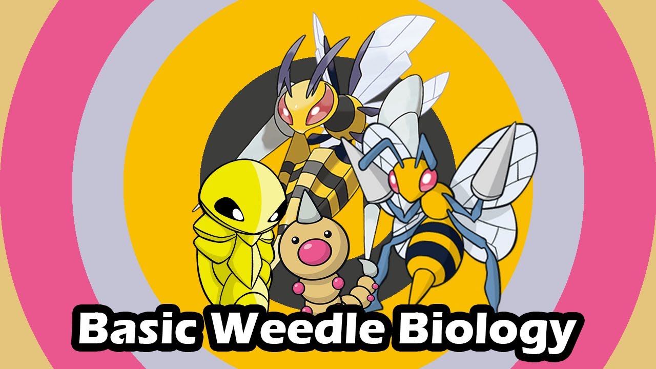 The Weedle Line - Pokemon Biology