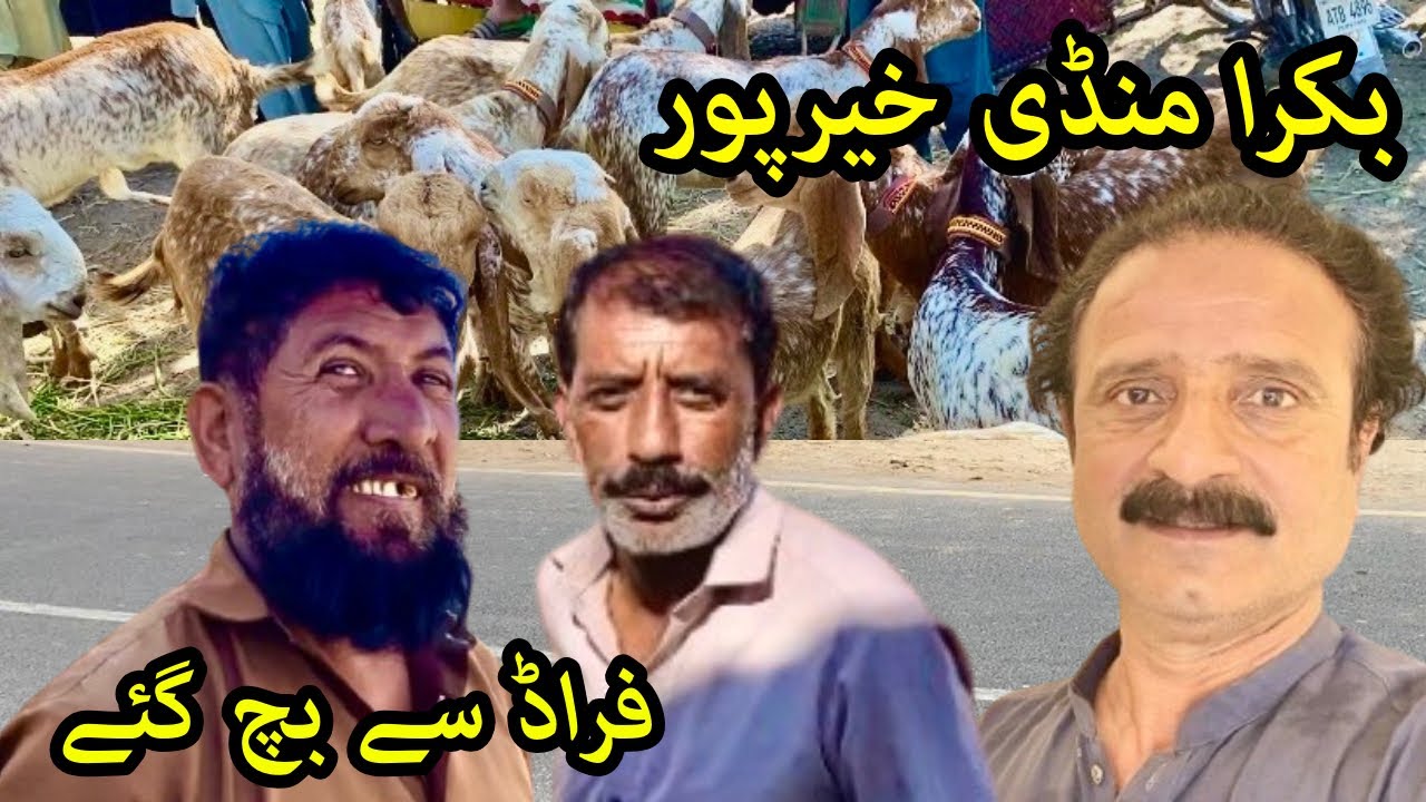 Khairpur Bakra Mandi Mein Bara Fraud! Hum Bach Gaye 😱