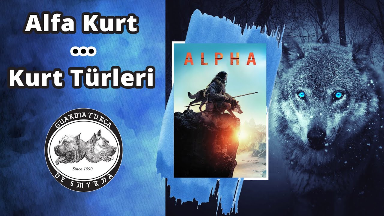 Alfa Kurt - Kurt Türleri
