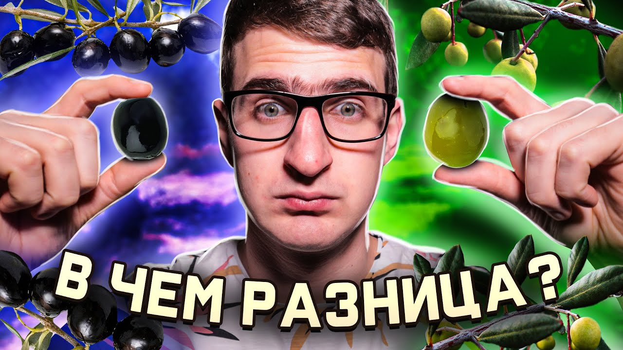 Самый важный вопрос человечества! В чем отличие оливок от маслин? [Спроси Ученого]