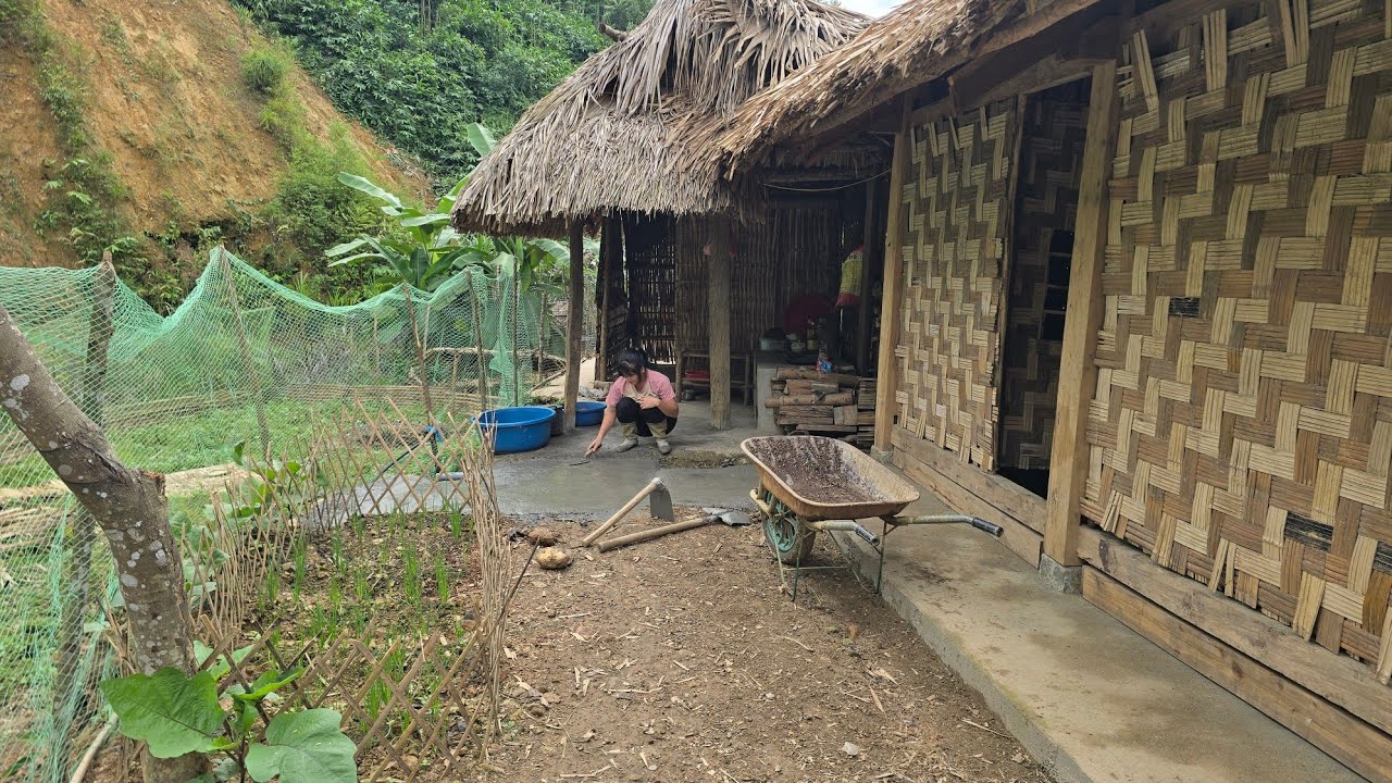Prepare the concrete floor for the bathroom. Plant more eggplants in the garden | Tiểu Liễu