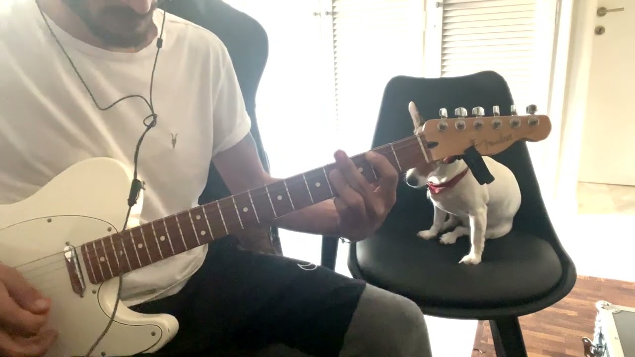 Gary Moore- i had a dream (guitar cover)