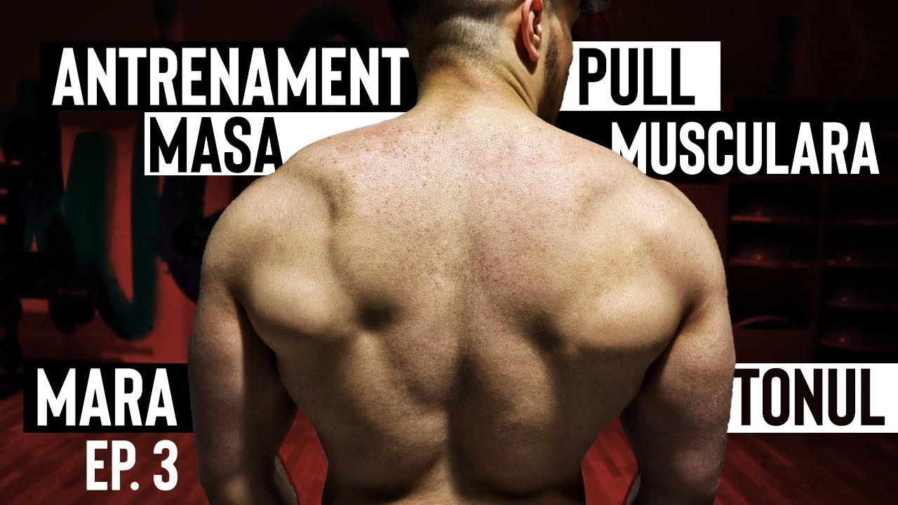ANTRENAMENT SPATE | BICEPS | DELTOID POSTERIOR *GROSIME*