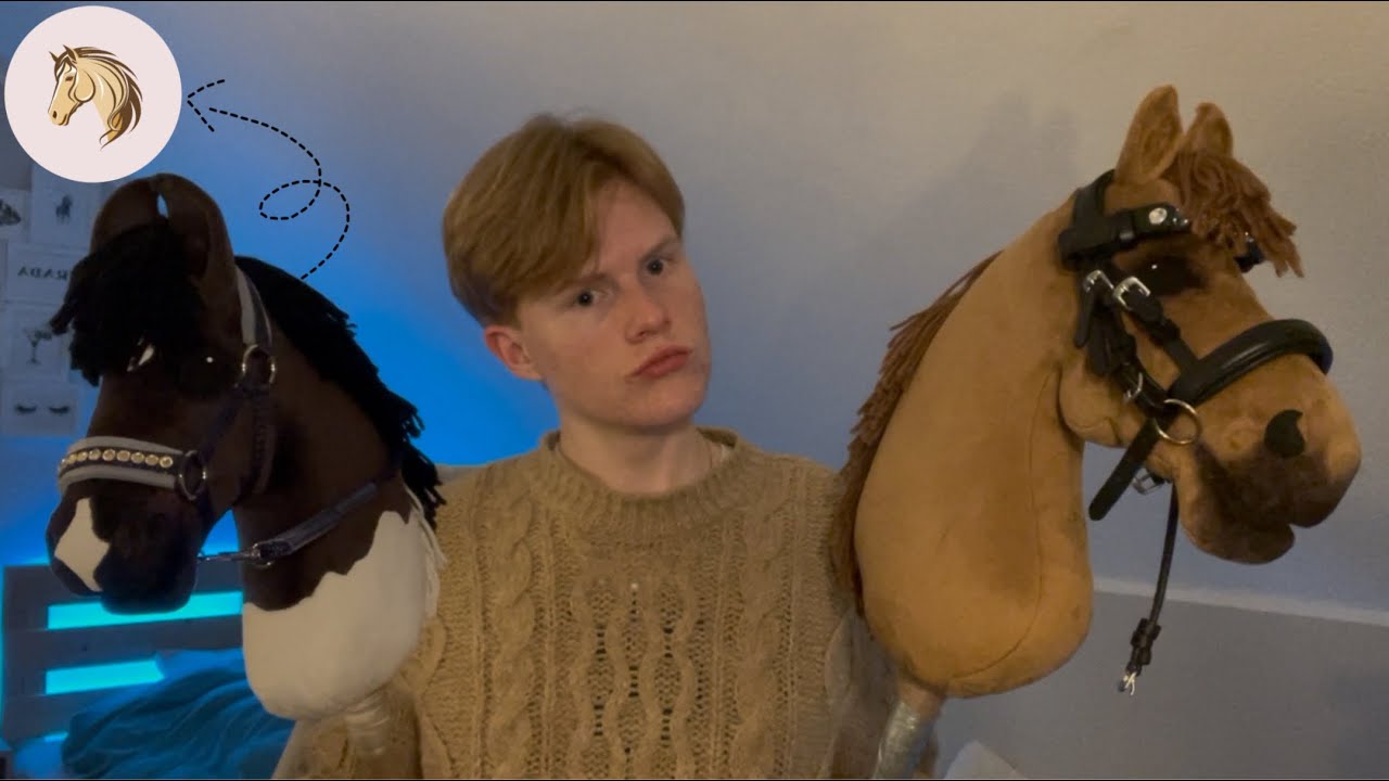 Lohnt sich HobbyHorse Zubehör von Ponyhof Muldenidyll?