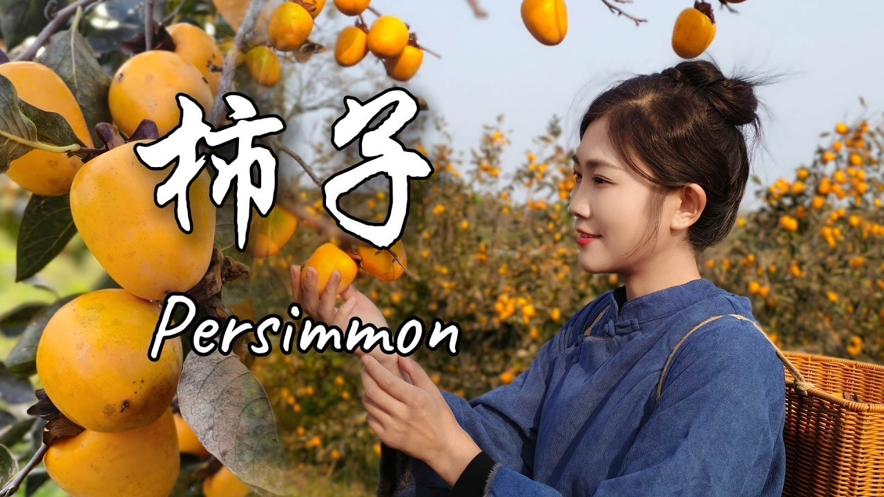 冬天最柔软的甜，从一颗柿子开始【海曲姑娘 Haiqu Girl】 #chinesefood #food #中国美食 【日照李子柒】