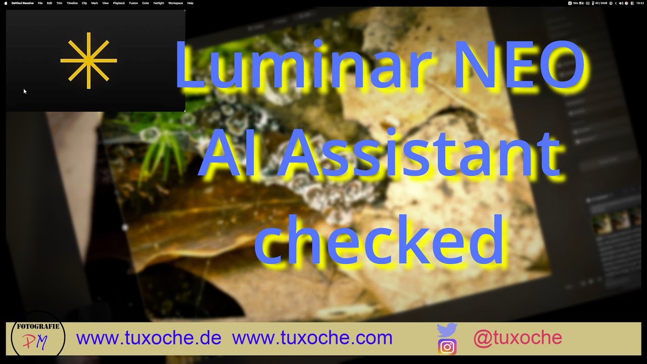 Luminar AI Assistant Tutorial | What It Does & How to Use It