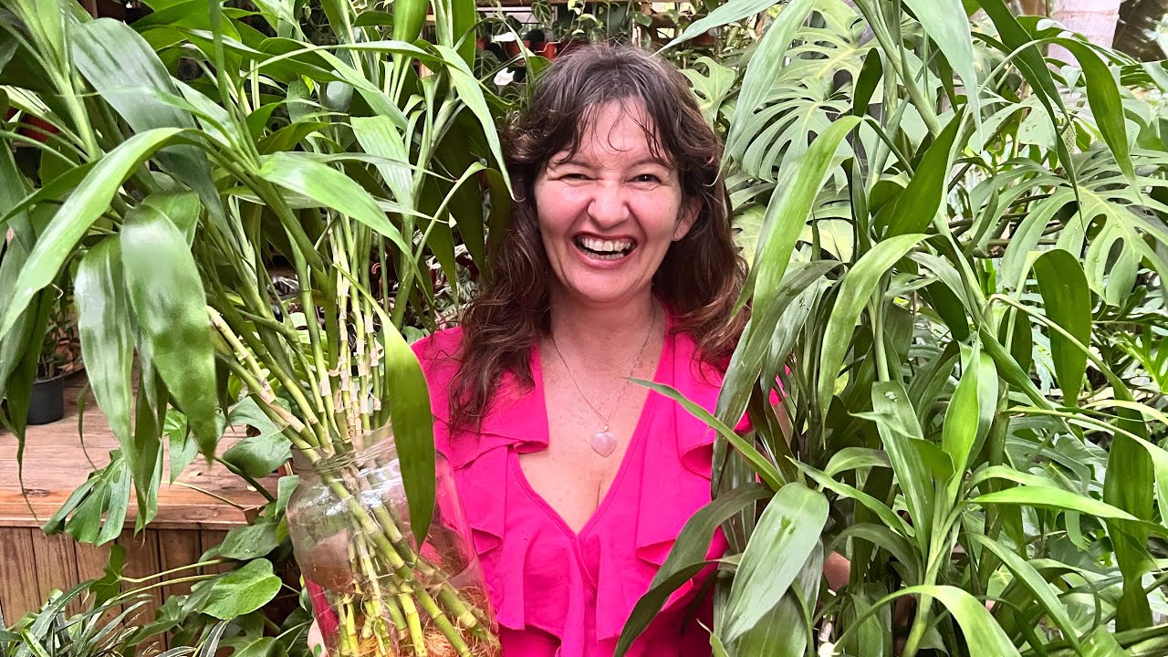 O SEGREDO do BAMBU da SORTE