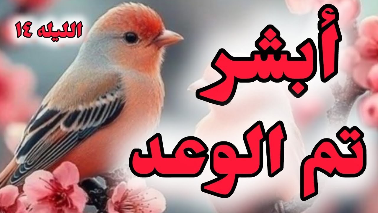 بشارة | حلمك يتحقق أقرب مما تتخيل 🤍 الليله ١٤
