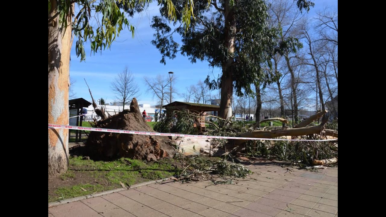 Gijón después del temporal del 1 de febrero