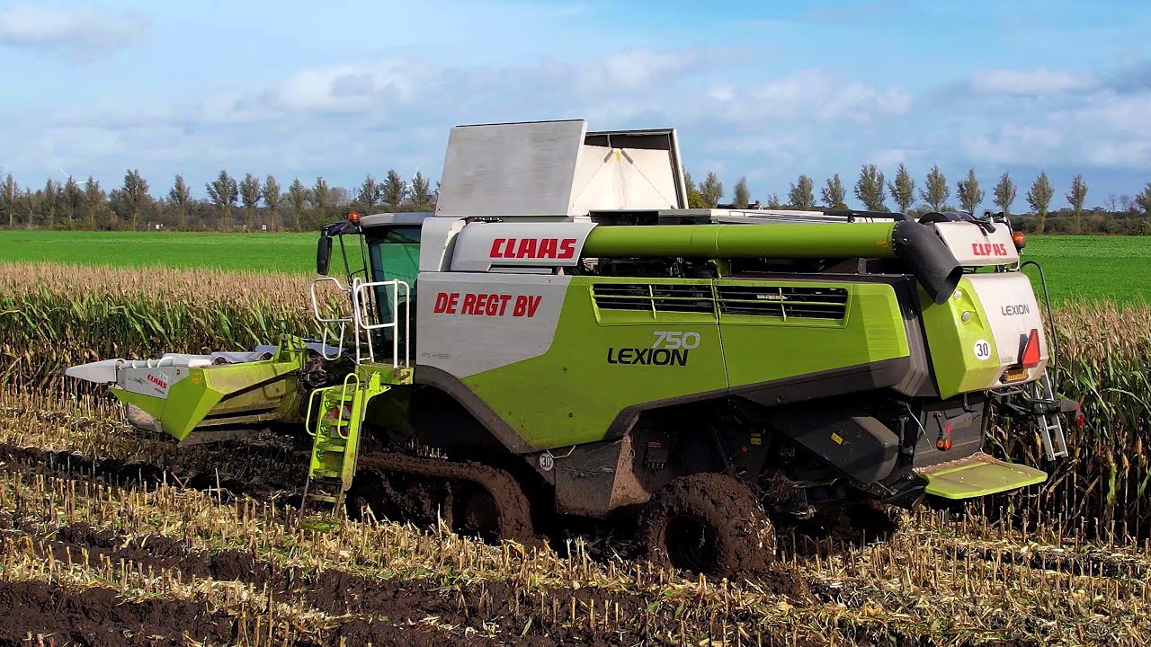 Mais dorsen | Threshing corn in the mud | CLAAS Lexion 750 | Terra Trac | Modderen in de mais 2023