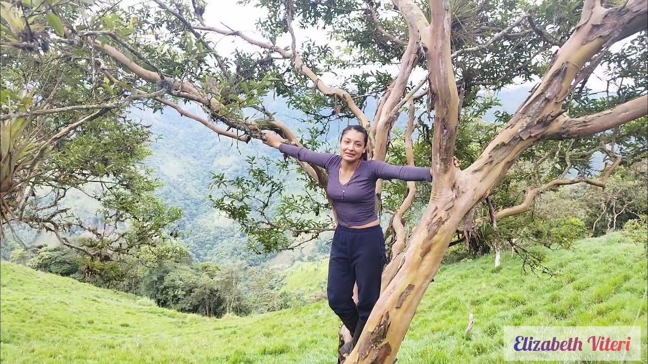 ESPUMILLA CASERA EN MI FINCA (AL ESTILO DE Elizabeth Viteri)