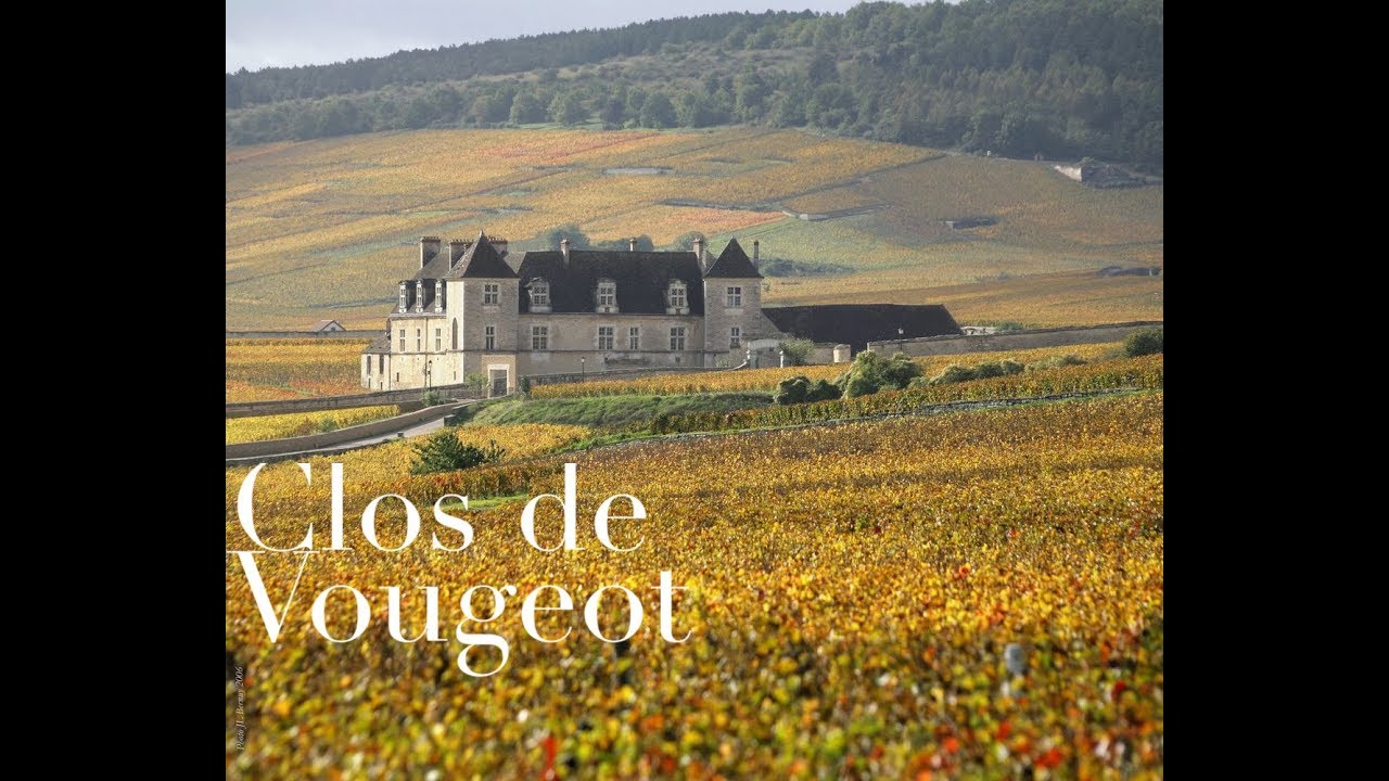 Clos de Vougeot : Video Essay