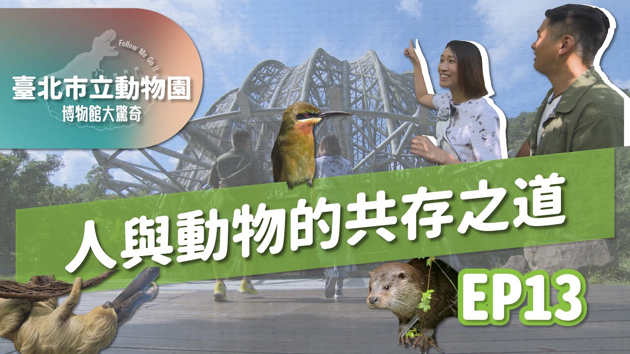 【下課花路米博物館大驚奇13】人與動物的共存之道：臺北市立動物園