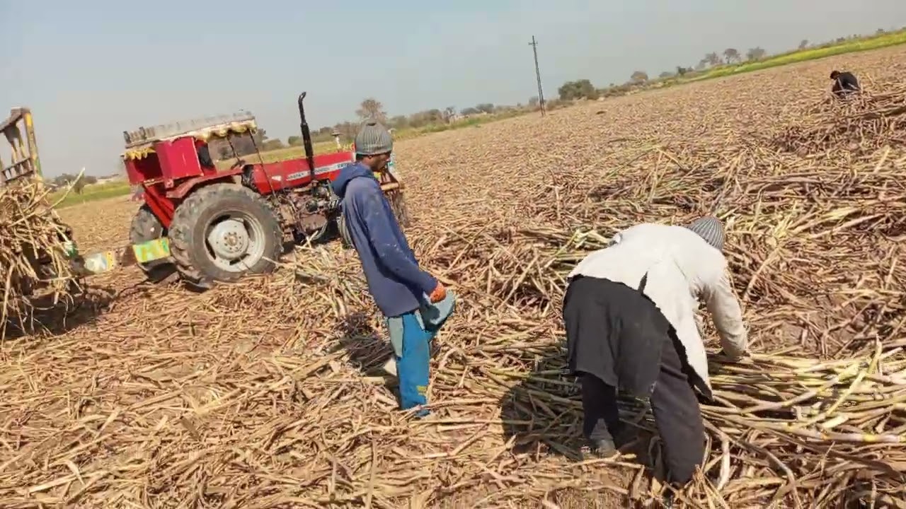 #foryou #foryouvideo