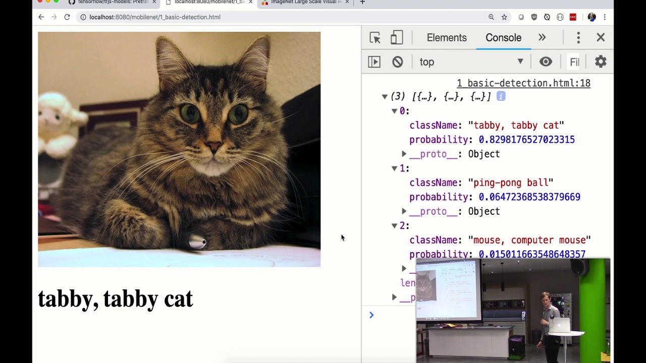 Machine learning in the browser - Richard Young