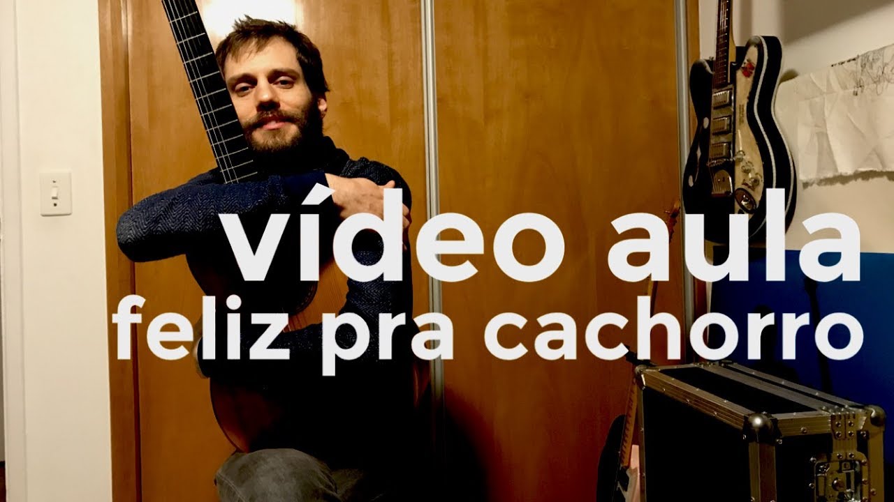 5 a seco - vídeo aula - feliz pra cachorro [OFICIAL]