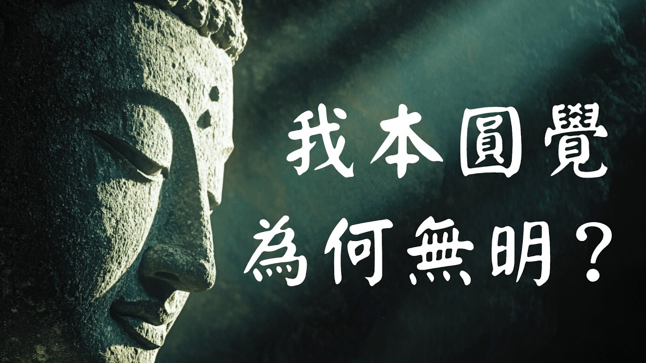 《圆觉经》深度讲解：大乘根器开悟的秘密！#圆觉经 #了义经 #开悟 #无明 #禅定