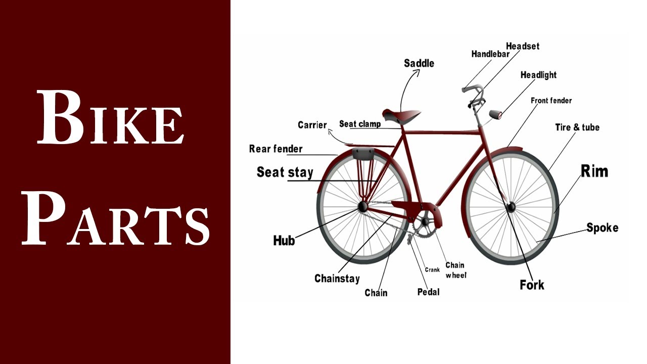 Important Parts of a Bicycle | BIKE PARTS in English Vocabulary