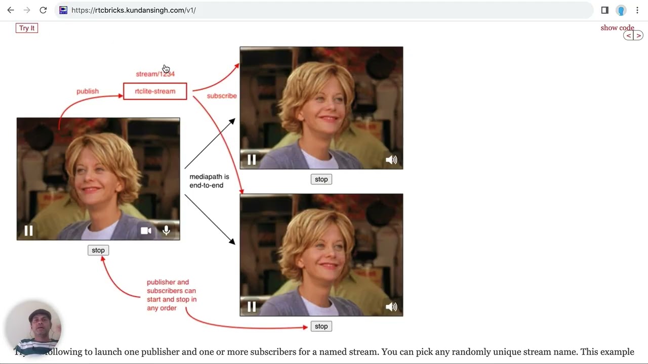 Video-IO: a generic web component for WebRTC pub-sub