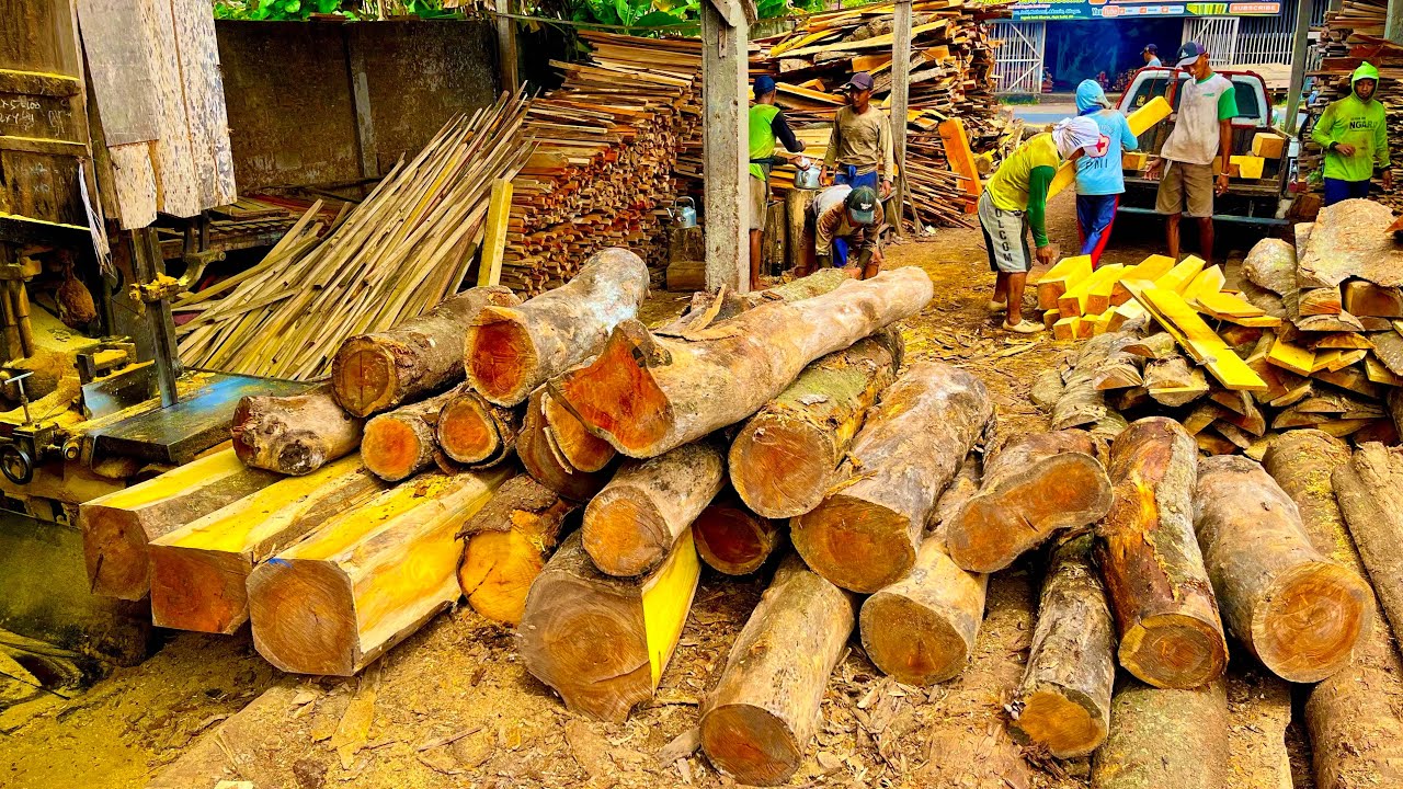 Banyak Kejutan!!! Serunya Menggergaji Tumpukan Kayu Nangka Tua Yang Memiliki Serat Eksklusif