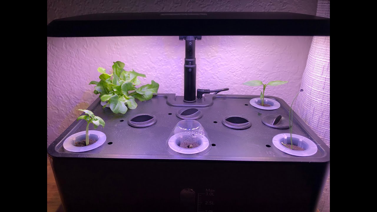 Garden Cube/ Hydroponic Growing System