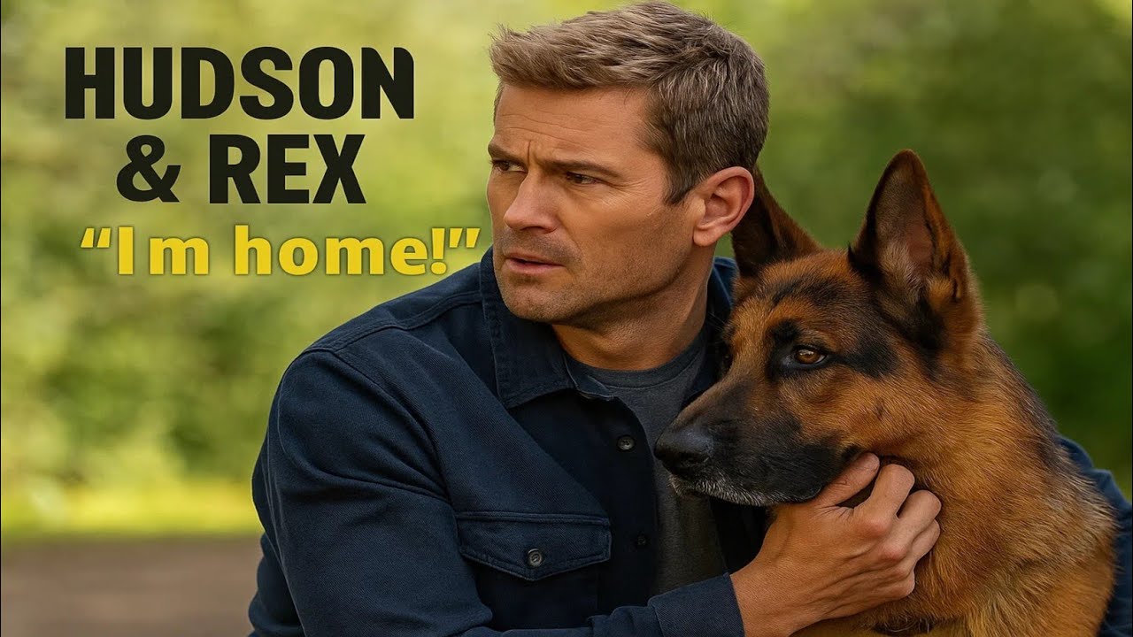 Hudson & Rex 2025 S08E14 | Best Crime Dog Detective Movie in Full HD