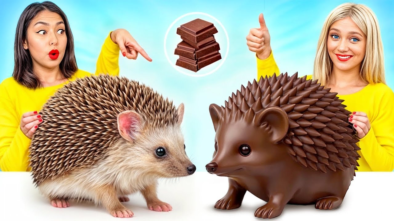 Desafio Comida de Verdade vs. Comida de Chocolate | Dicas Divertidas de Cozinha por RATATA POWER