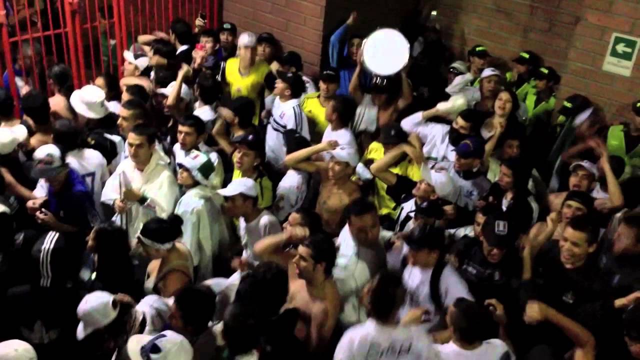 HOLOCAUSTO NORTE EN ENVIGADO 17 DE MARZO DE 2013