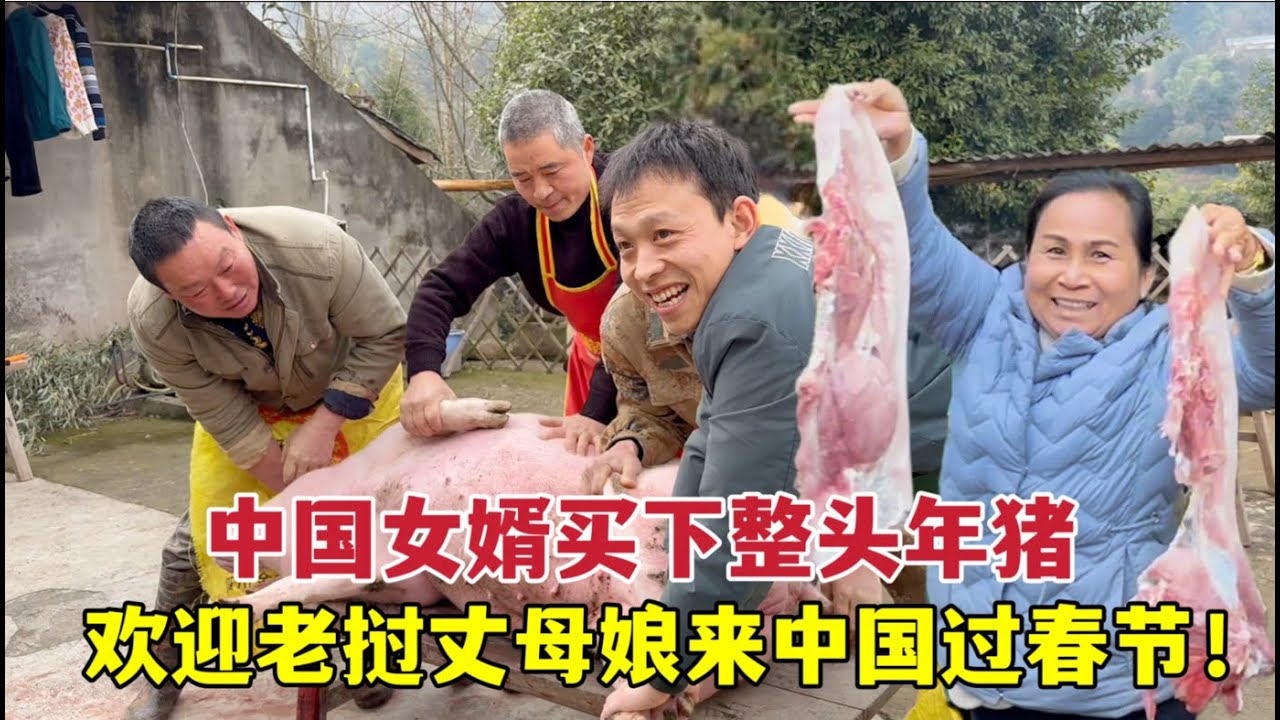 China kills pigs for the New Year, so shocking！為了歡迎老撾丈母娘來中國，中國女婿買下整頭年豬：丈母娘驚呆了