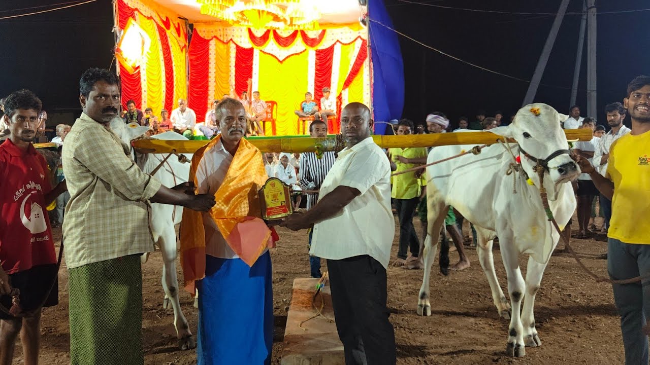 మాచవరం పాలపళ్ళు 13వ