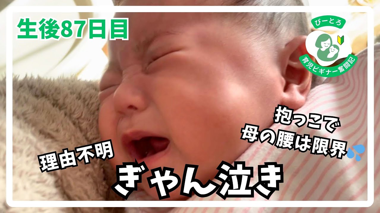 【原因不明のぎゃん泣き】生後87日目〜育児奮闘記〜