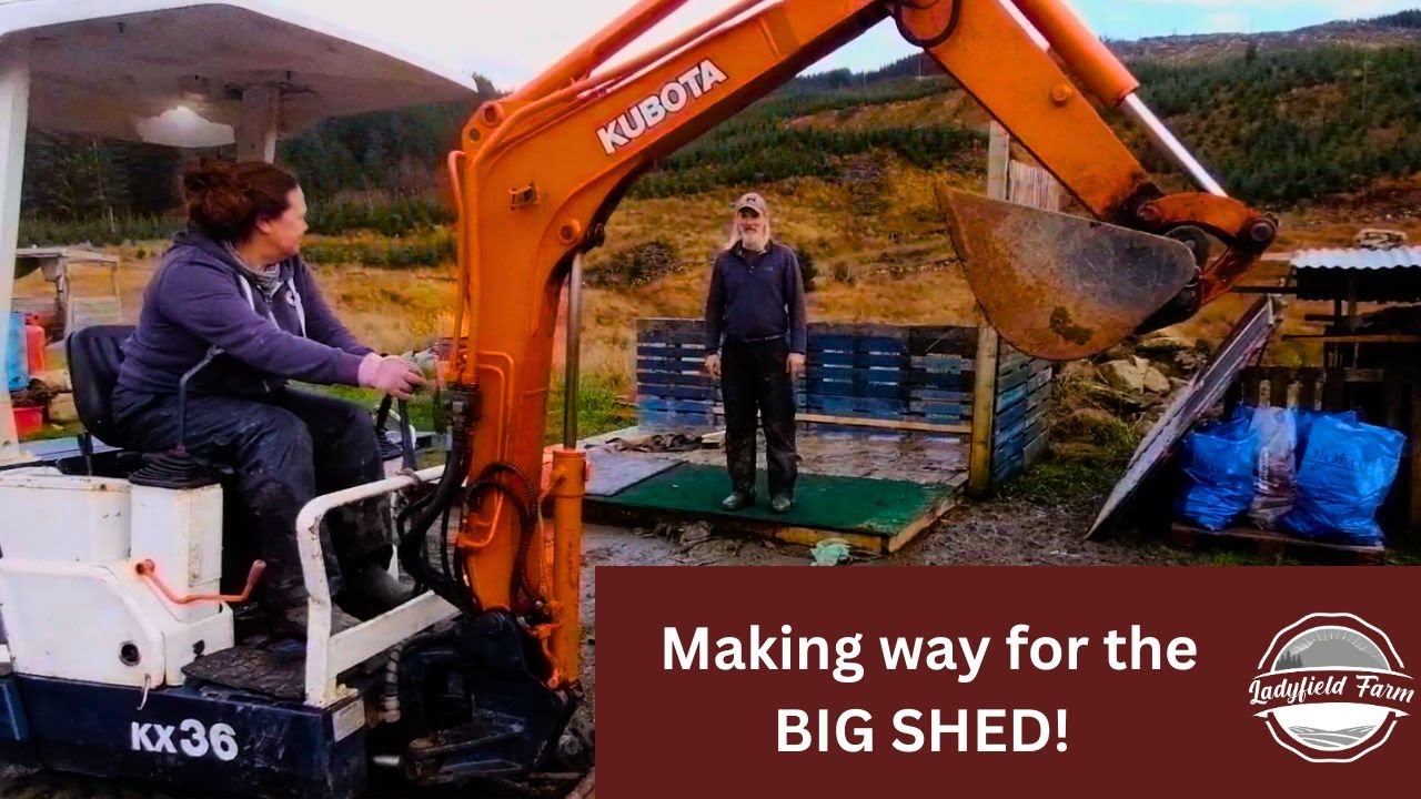 LADYFIELD FARM  - The Big Shed Part 1
