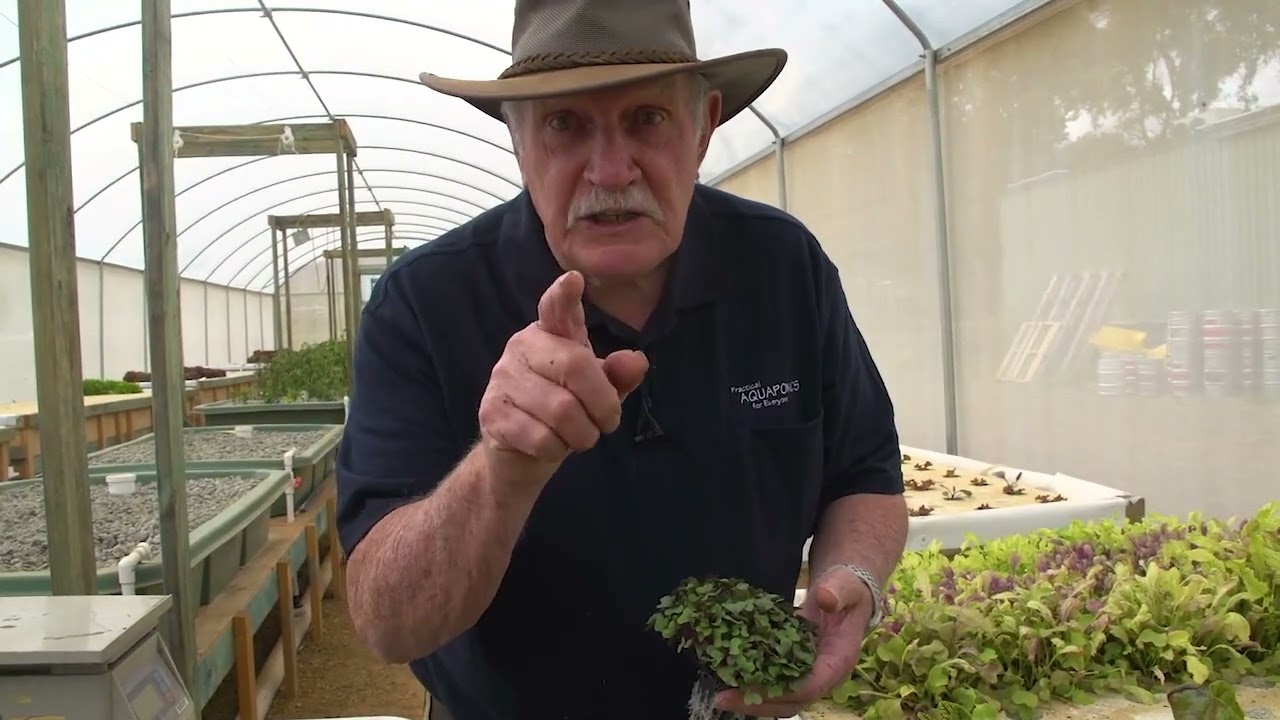 Brewery Aquaponics System Part 2