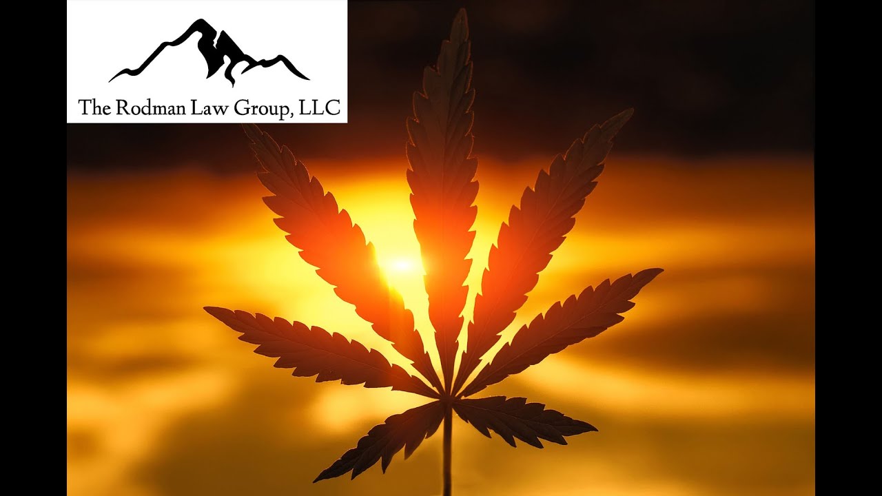 Intellectual Property and Cannabis sativa L  webinar