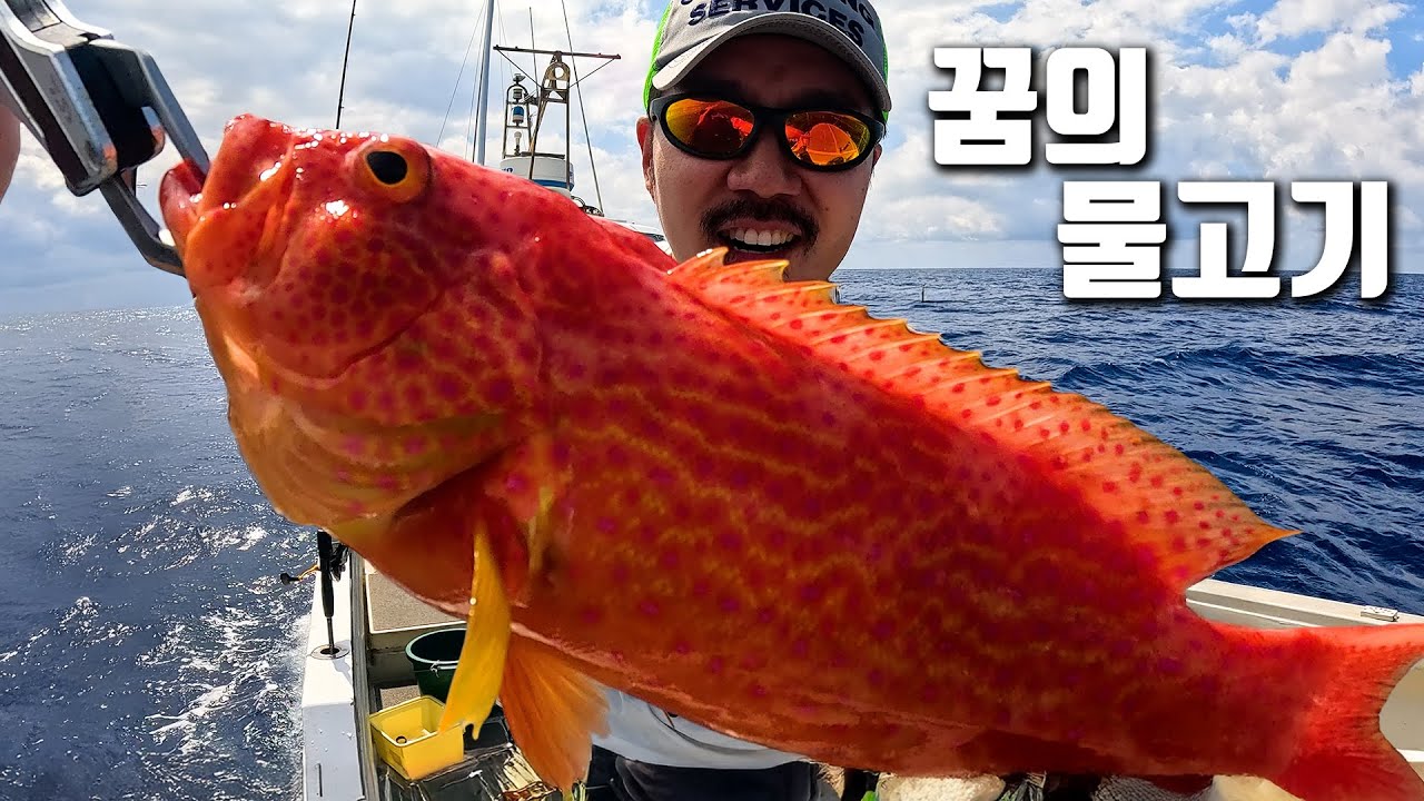 어마어마한 물고기들이 득실대는 신비의 포인트에서 물고기를 잡아 먹어보자!!!