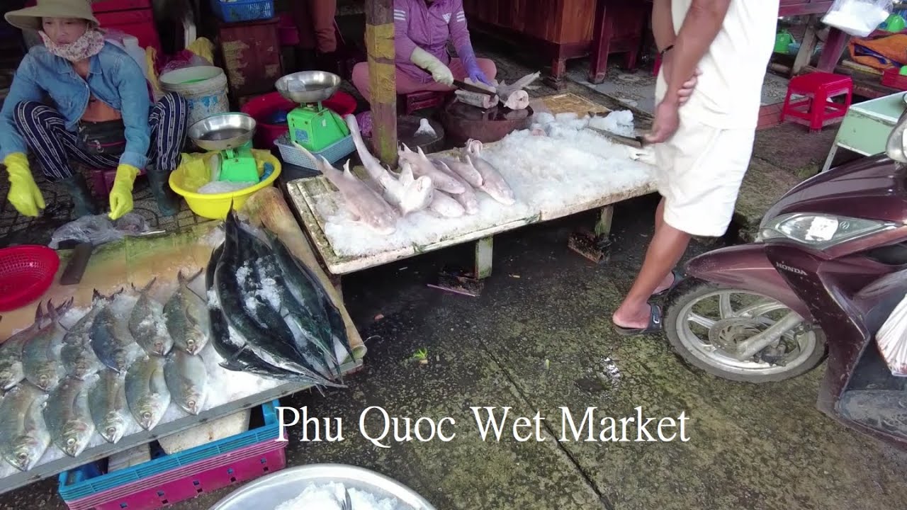 Exploring Local Fish Market and City Walk in Vietnam's Phu Quoc Island life