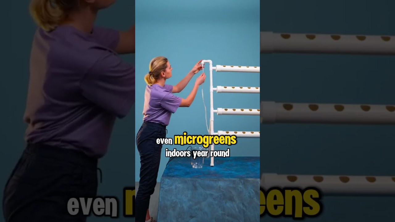 Build This Hydroponic Garden with PVC Pipes &mdash; Zero Soil, Zero Stress! #hydroponics  #diygarden